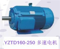 湖北YZR电动机